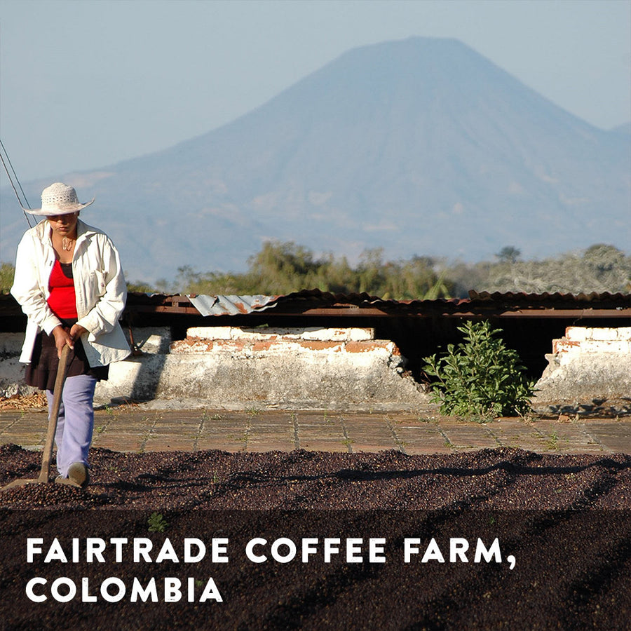 The Classic Fairtrade Blend